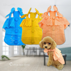 パピー 服 のおすすめ人気通販 検索結果｜Creema(クリーマ