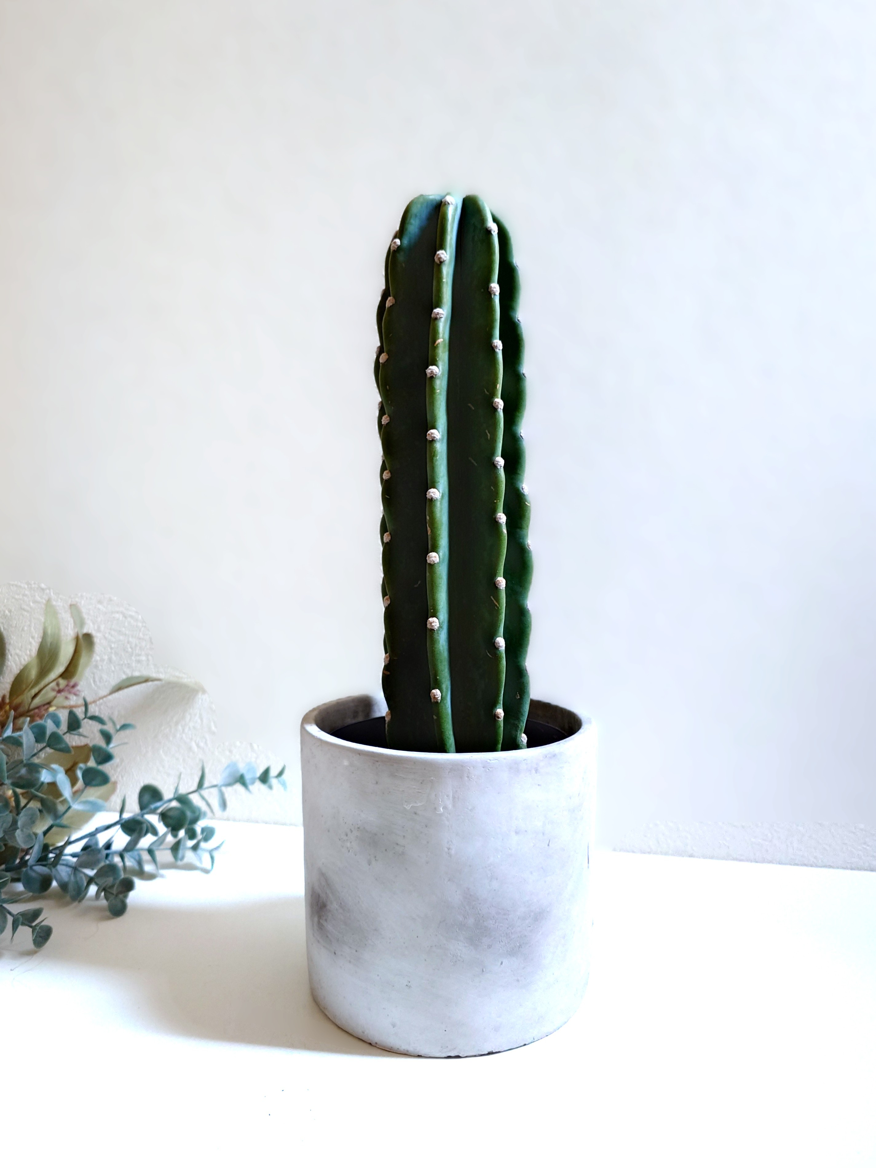 多肉植物セット 青色とグレーの鉢*6 多肉植物セット 青色とグレーの鉢*6 個性溢れるポット