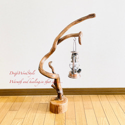 流木インテリア 芸術的にうねる枝の流木スタンド ランタンやエアプラントを飾れる置物 北欧 照明 木材 癒し N100 3枚目の画像