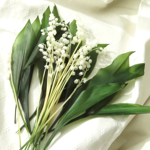 スズランリーフ】 プリザーブドフラワー PriQueen その他素材 ことぶき