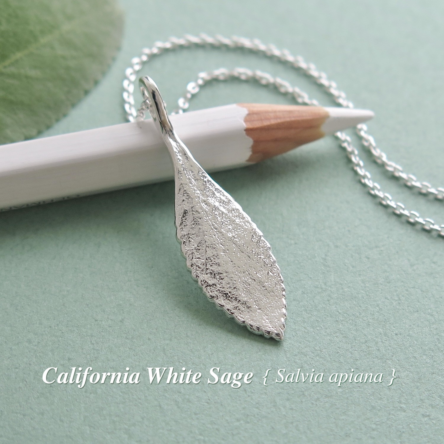 [999 Silver] ホワイトセージ・リーフペンダント, チェーン, mini ケアセット付, ハーブジュエリー