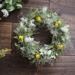 秋色○ワラビとススキのドライフラワーリース◎20センチ