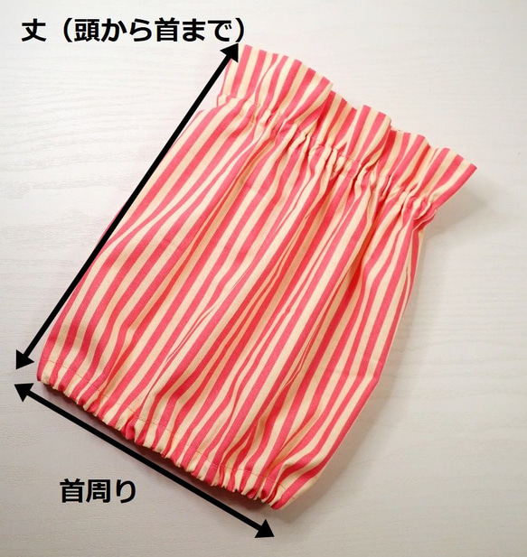  第7張的照片