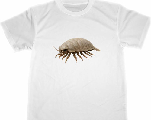 fac7a244b7331f9574a94833dcd67d