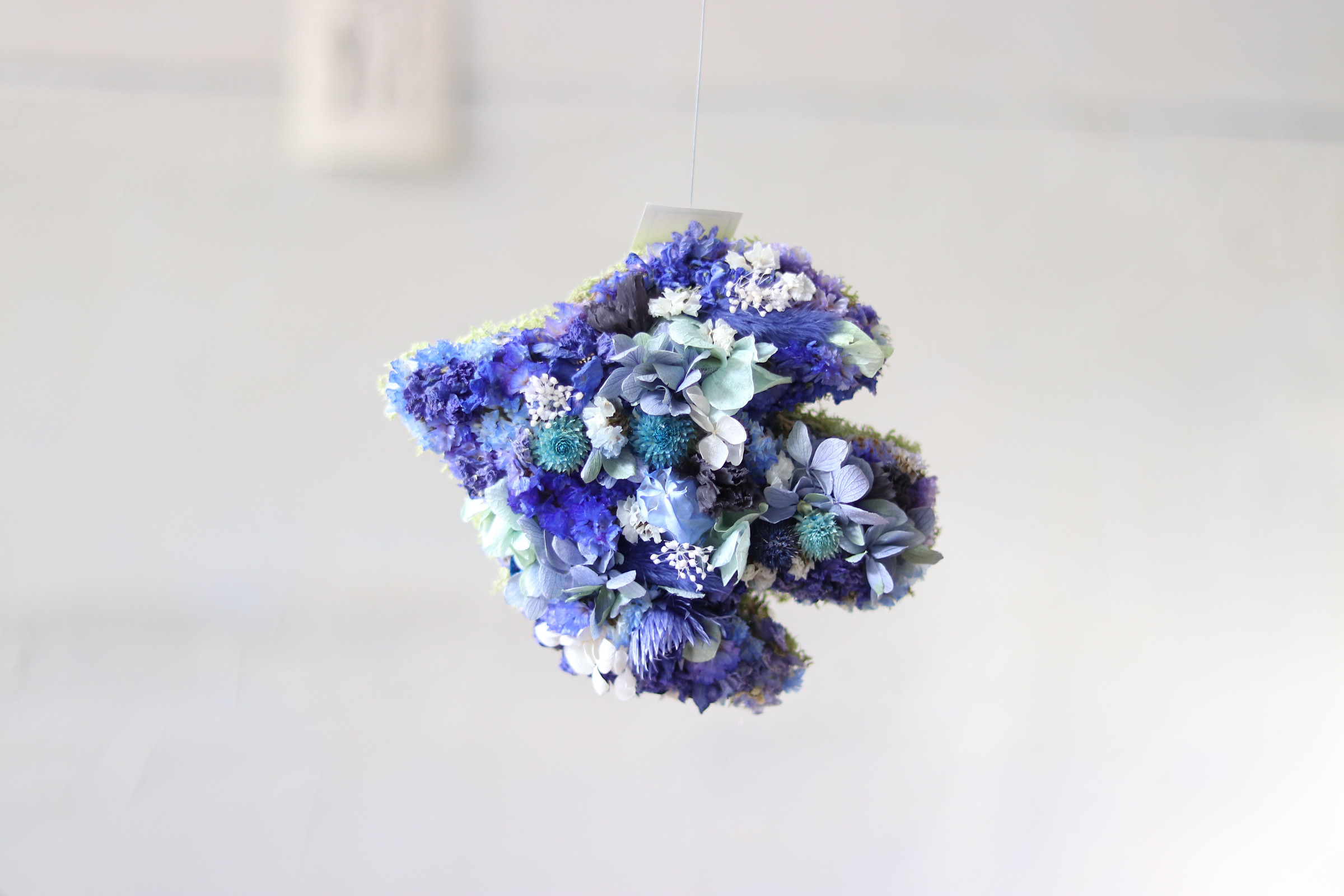 幸せの青い鳥　 春の誕生花2026