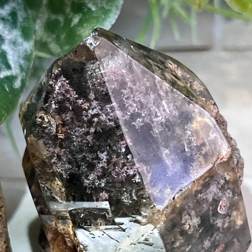 原生林のガーデンクォーツ✴︎ポリッシュポイント苔入り水晶クリスタル原石