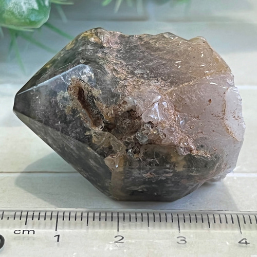 原生林のガーデンクォーツ✴︎ ポリッシュ ポイント 苔入り水晶