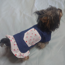 2024新柄追加○着せやすい犬服 男の子向け浴衣○青グリーン系ゆかた