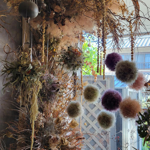 サボテンの骨(カクタススケルトン)のハンギングアレンジメント ドライ