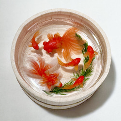 木桶で泳ぐ金魚 大 （琉金紅白1匹、赤出目金 1匹、和金4匹） 置物  