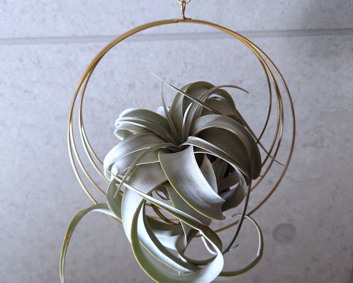 6921d0d4ee6a1c309ce38ba4d0cebb