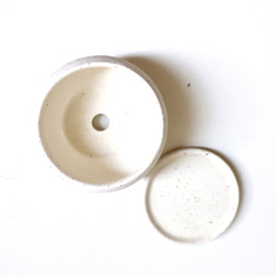 ●数量限定●新作●　厳選・小さめ　”ダバリア・苔玉仕立て　平鉢/受け皿セット（マットホワイト）”　観葉植物　おしゃれ 10枚目の画像