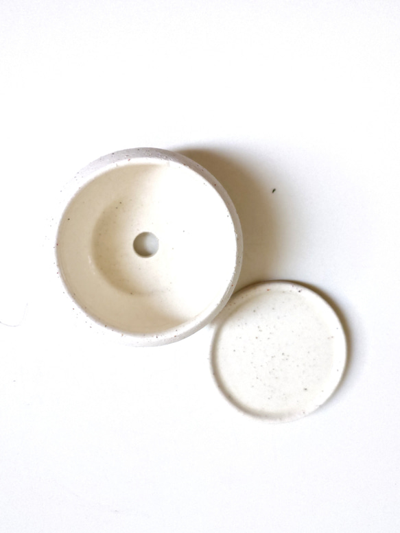 ●数量限定●新作●　厳選・小さめ　”ダバリア・苔玉仕立て　平鉢/受け皿セット（マットホワイト）”　観葉植物　おしゃれ 10枚目の画像