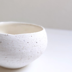 ●数量限定●新作●　厳選・小さめ　”ダバリア・苔玉仕立て　平鉢/受け皿セット（マットホワイト）”　観葉植物　おしゃれ 7枚目の画像