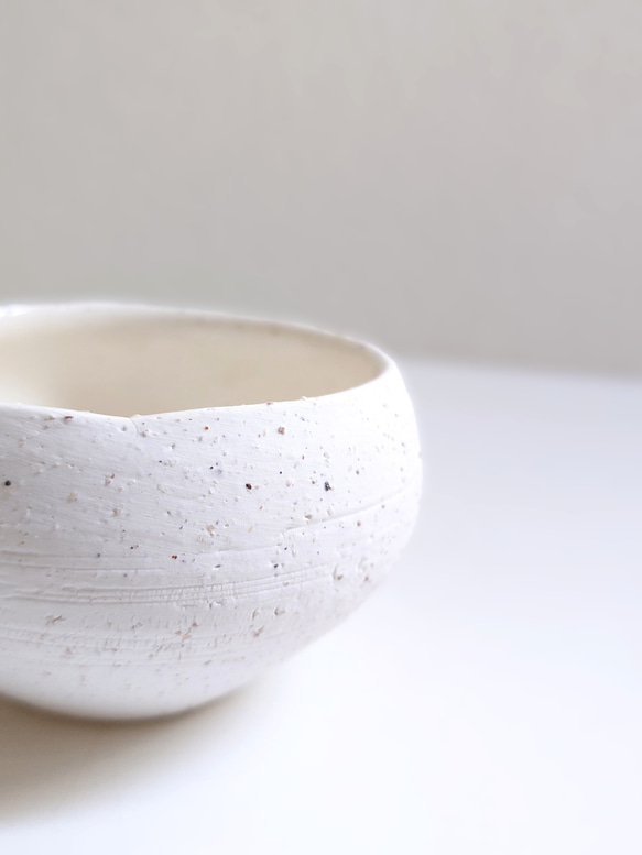 ●数量限定●新作●　厳選・小さめ　”ダバリア・苔玉仕立て　平鉢/受け皿セット（マットホワイト）”　観葉植物　おしゃれ 7枚目の画像