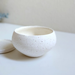 ●数量限定●新作●　厳選・小さめ　”ダバリア・苔玉仕立て　平鉢/受け皿セット（マットホワイト）”　観葉植物　おしゃれ 9枚目の画像