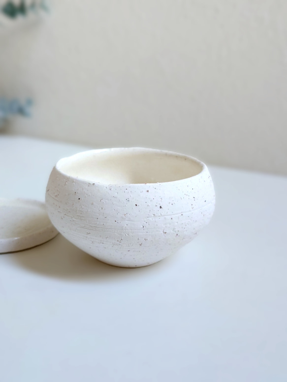 ●数量限定●新作●　厳選・小さめ　”ダバリア・苔玉仕立て　平鉢/受け皿セット（マットホワイト）”　観葉植物　おしゃれ 9枚目の画像