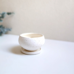 ●数量限定●新作●　厳選・小さめ　”ダバリア・苔玉仕立て　平鉢/受け皿セット（マットホワイト）”　観葉植物　おしゃれ 8枚目の画像