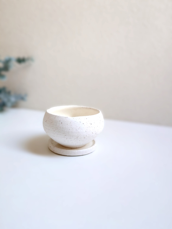 ●数量限定●新作●　厳選・小さめ　”ダバリア・苔玉仕立て　平鉢/受け皿セット（マットホワイト）”　観葉植物　おしゃれ 8枚目の画像