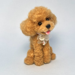 羊毛フェルトトイプードル　Leciel 羊毛フェルトトイプードル Leciel様専用