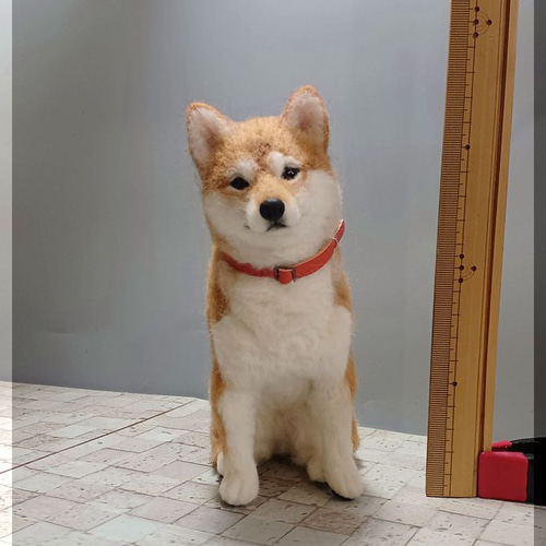 羊毛フェルト 犬 柴犬 犬フィギュア 羊毛フェルト モンブラン 通販