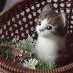 シャム猫の子猫 羊毛フェルト studio＊coup 通販 12040428｜Creema