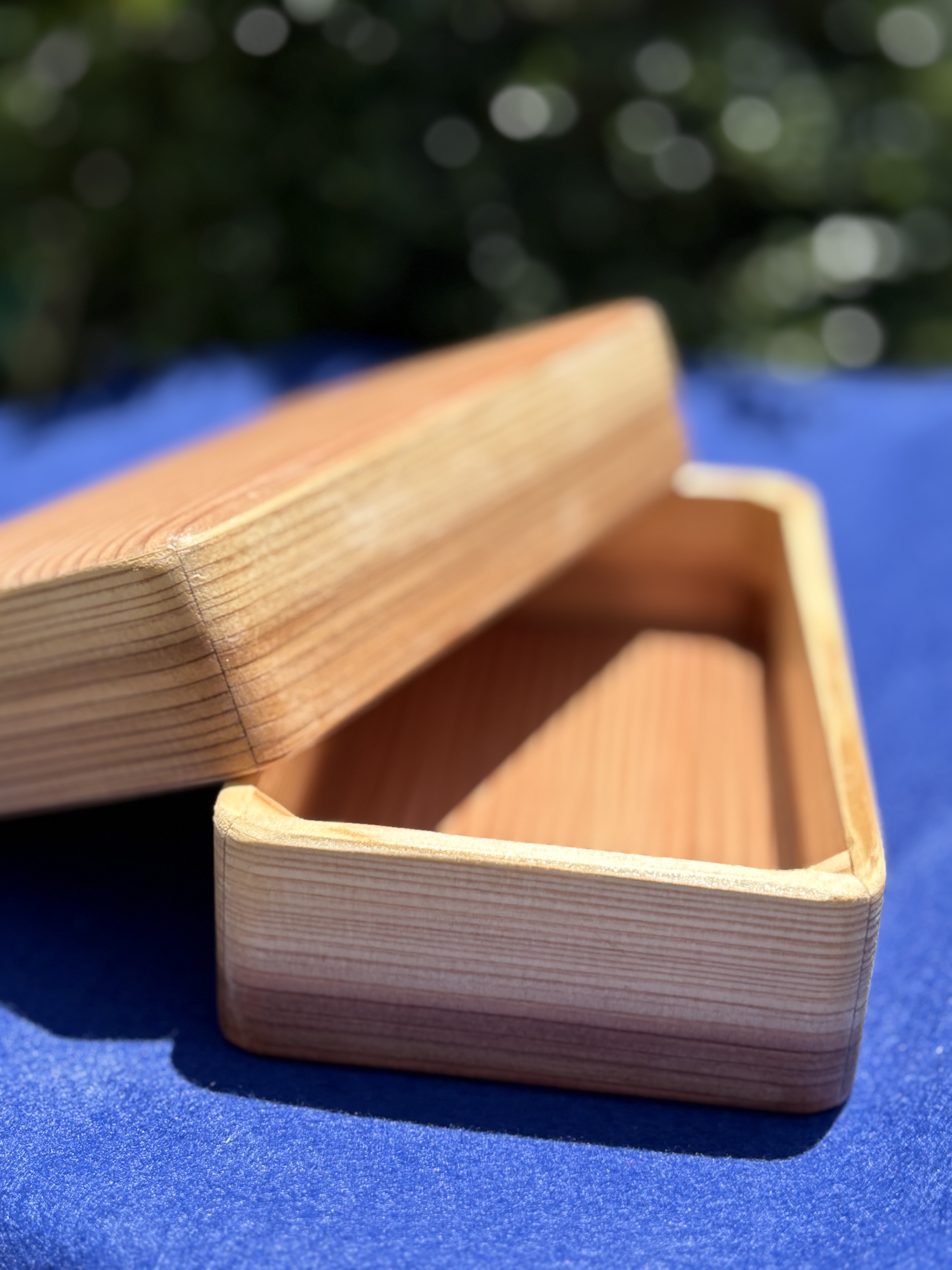 【2026 Edition】お弁当箱　可愛いカド丸　ノブレスJKタイプ　600ml