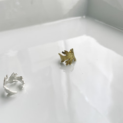 Herb leaf 〈真鍮 -Brass〉 2枚目の画像