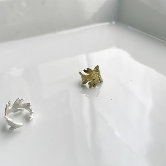 Herb leaf 〈真鍮 -Brass〉 2枚目の画像