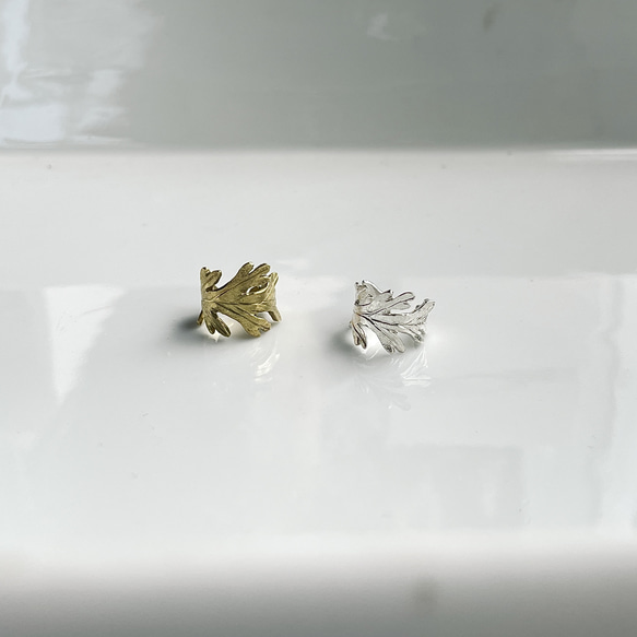 Herb leaf 〈真鍮 -Brass〉 4枚目の画像