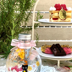 猫ちゃんハーバリウム♡夏スイーツランドの美味しい時間　＊＊サマーギフト　夏限定新作 5枚目の画像
