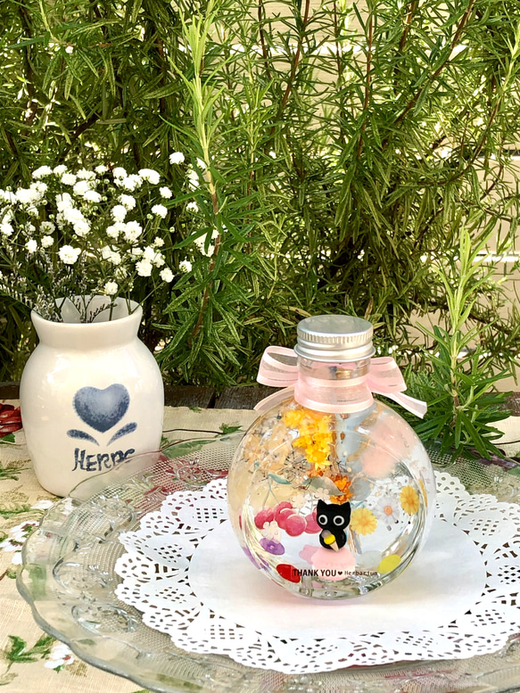 猫ちゃんハーバリウム♡夏スイーツランドの美味しい時間　＊＊サマーギフト　夏限定新作 4枚目の画像
