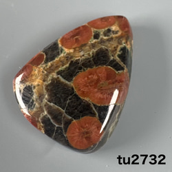 カンチェンジュンガ産 ヒマラヤ水晶 原石クラスター tg773 天然石