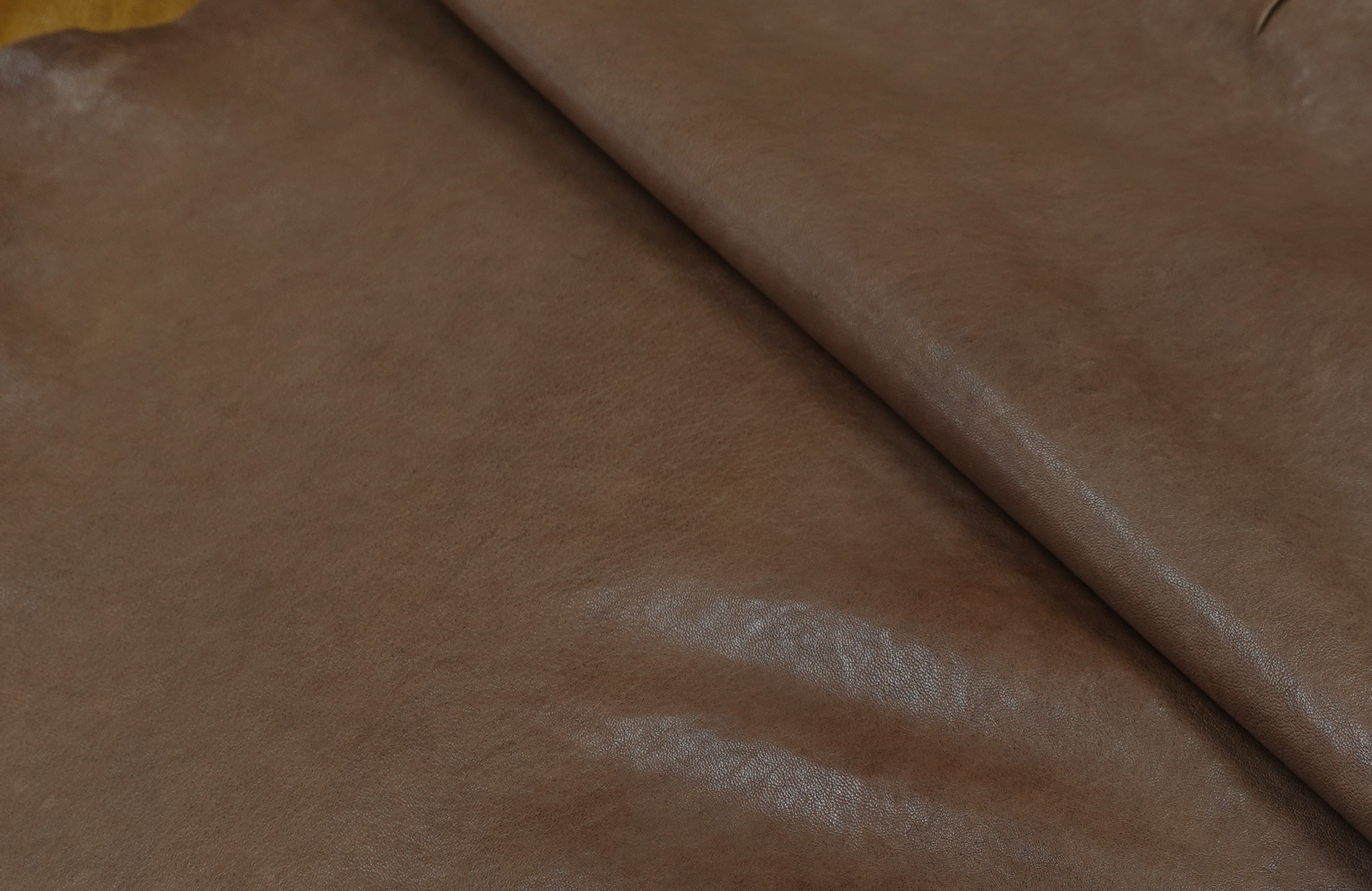 インドシープ　クロムフリー　＃ブラウン