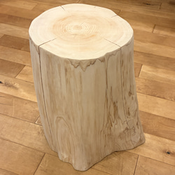 【Pet Table Hinoki】 No.1286 Pet Table Hinoki 】 No.1296 おもちゃ・ペット小物 Wood