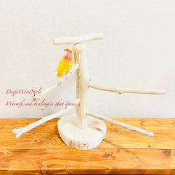 流木の止まり木  取り外しができる止まり木スタンド Mサイズ インコ オウム 鳥 バードスタンド パーチ N4 4枚目の画像