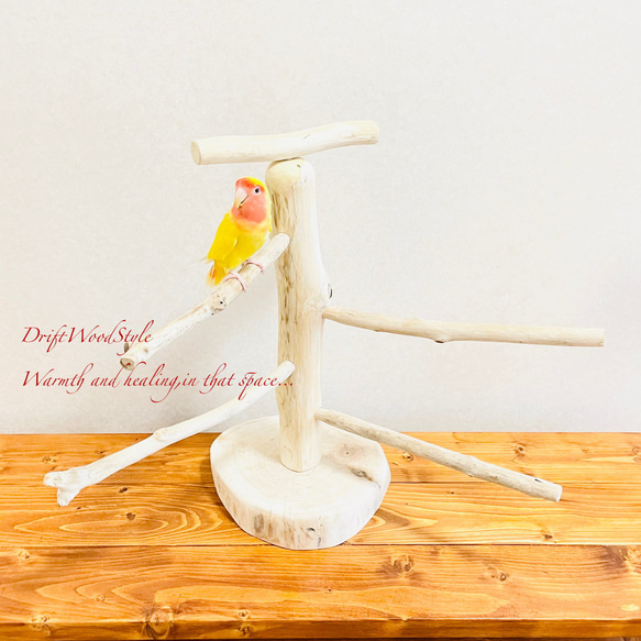 流木の止まり木  取り外しができる止まり木スタンド Mサイズ インコ オウム 鳥 バードスタンド パーチ N4 4枚目の画像