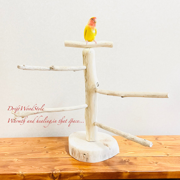 流木の止まり木  取り外しができる止まり木スタンド Mサイズ インコ オウム 鳥 バードスタンド パーチ N4 1枚目の画像