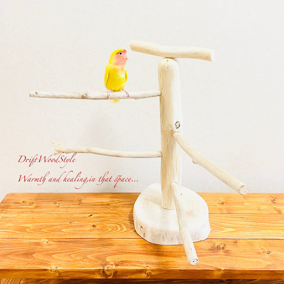 流木の止まり木  取り外しができる止まり木スタンド Mサイズ インコ オウム 鳥 バードスタンド パーチ N4 3枚目の画像