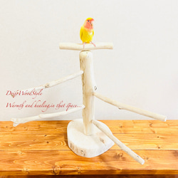 流木の止まり木  取り外しができる止まり木スタンド Mサイズ インコ オウム 鳥 バードスタンド パーチ N4 2枚目の画像