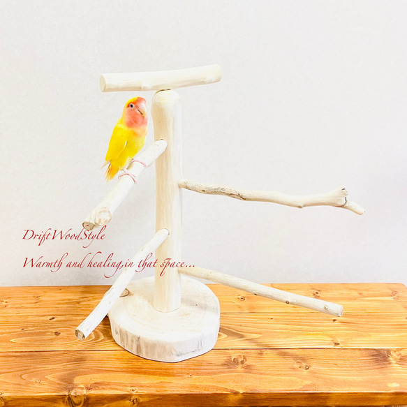 流木の止まり木  取り外しができる止まり木スタンド Mサイズ インコ オウム 鳥 バードスタンド パーチ N5 4枚目の画像