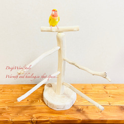 流木の止まり木  取り外しができる止まり木スタンド Mサイズ インコ オウム 鳥 バードスタンド パーチ N5 2枚目の画像