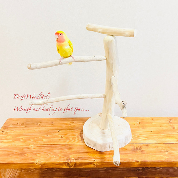 流木の止まり木  取り外しができる止まり木スタンド Mサイズ インコ オウム 鳥 バードスタンド パーチ N5 3枚目の画像