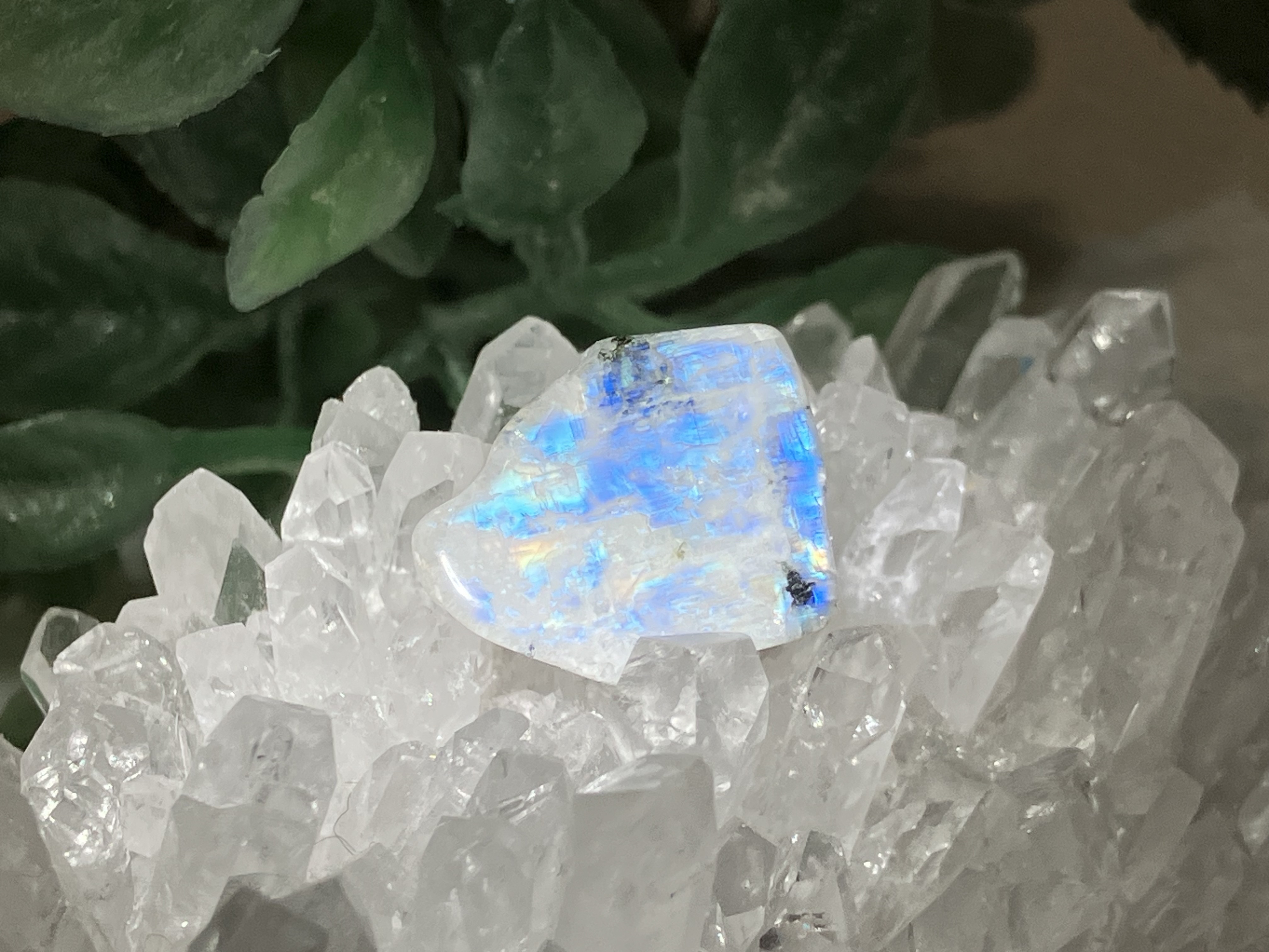 巨大ホワイトラブラドライト/レクタングル型2/鉱物コレクション