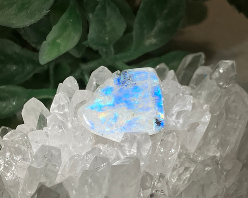 45eafe95a6422366f553a4e60b8995