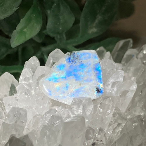 ホワイトラブラドライト タンブル ブルームーンストーン レッセンス