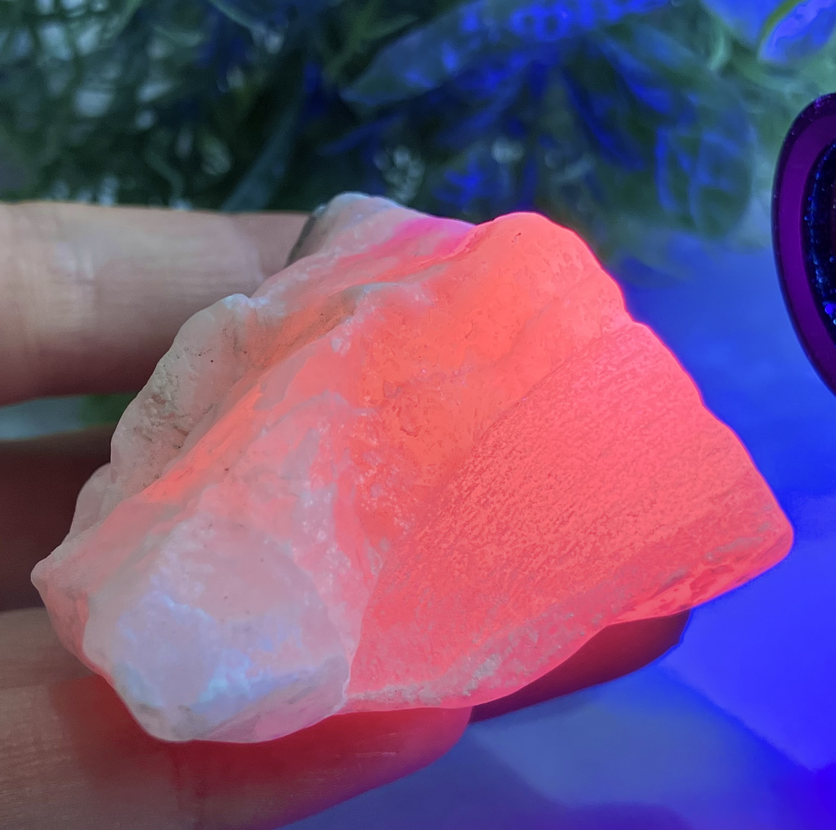 天然石　ボルケーノアゲート　カービング　トリケラトプス　UV蛍光No.1347 天然石 ボルケーノアゲート カービング トリケラトプス UV蛍光No.1347