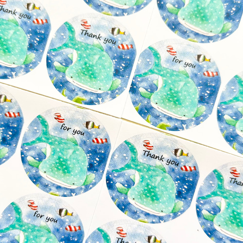 透明水彩画「ジンベイザメ 丸シール48枚」サンキューシール 暑中見舞い