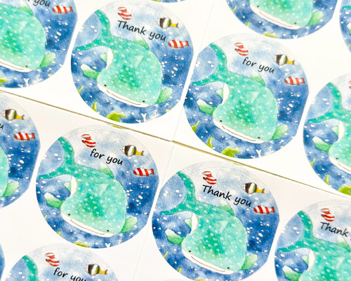 透明水彩画「ジンベイザメ 丸シール48枚」サンキューシール 暑中見舞い