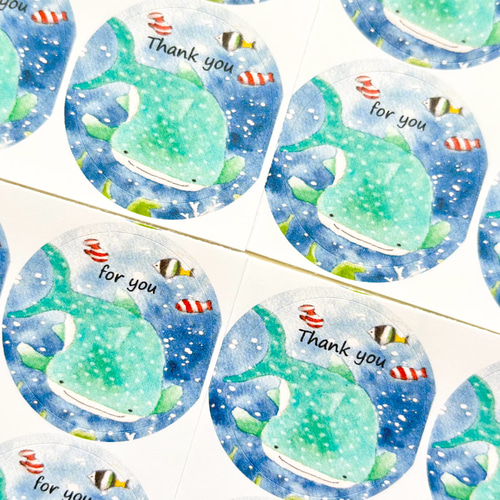 透明水彩画「ジンベイザメ 丸シール48枚」サンキューシール 暑中見舞い